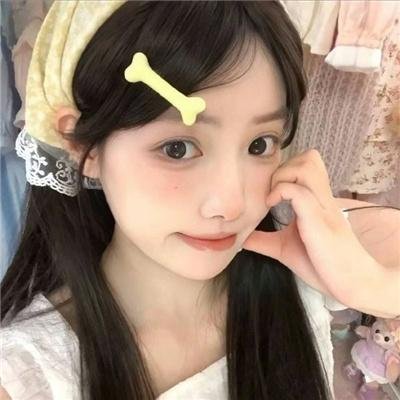 哈吉布基的森林冒险